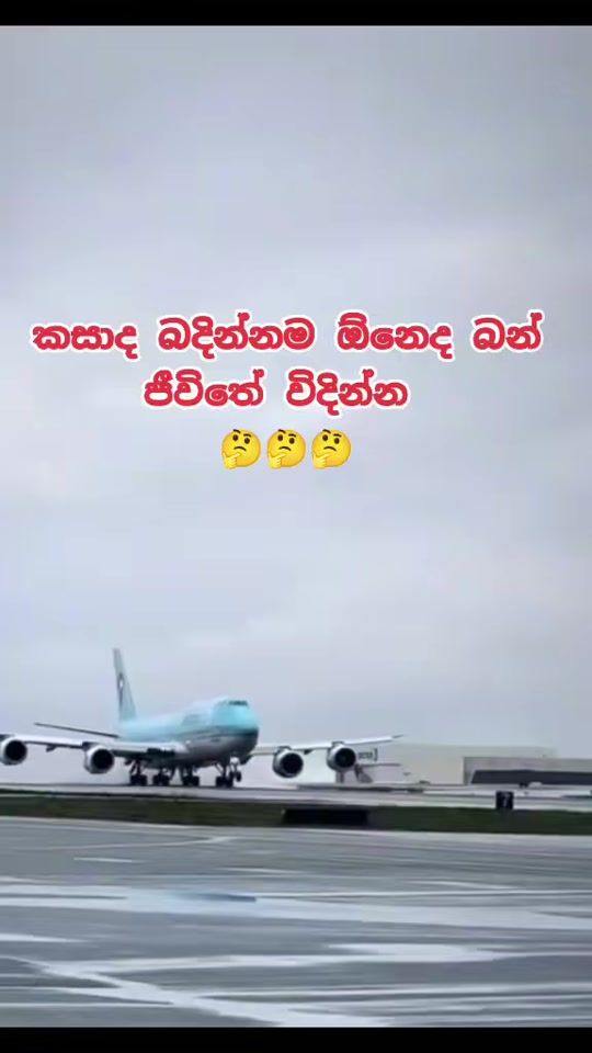 TikTok video thumbnail by danu210831