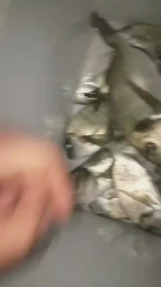 TikTok video thumbnail by boughdirichiheb