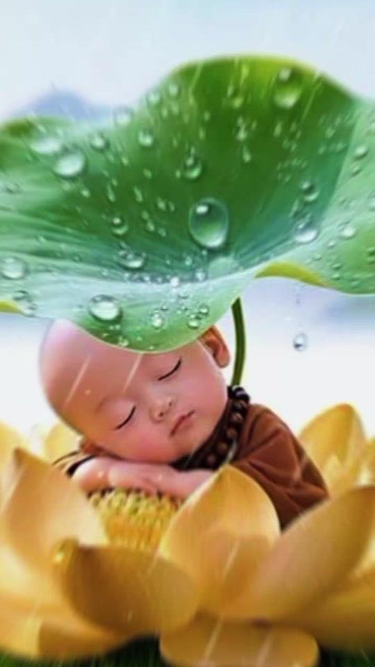 TikTok video thumbnail by kherina18
