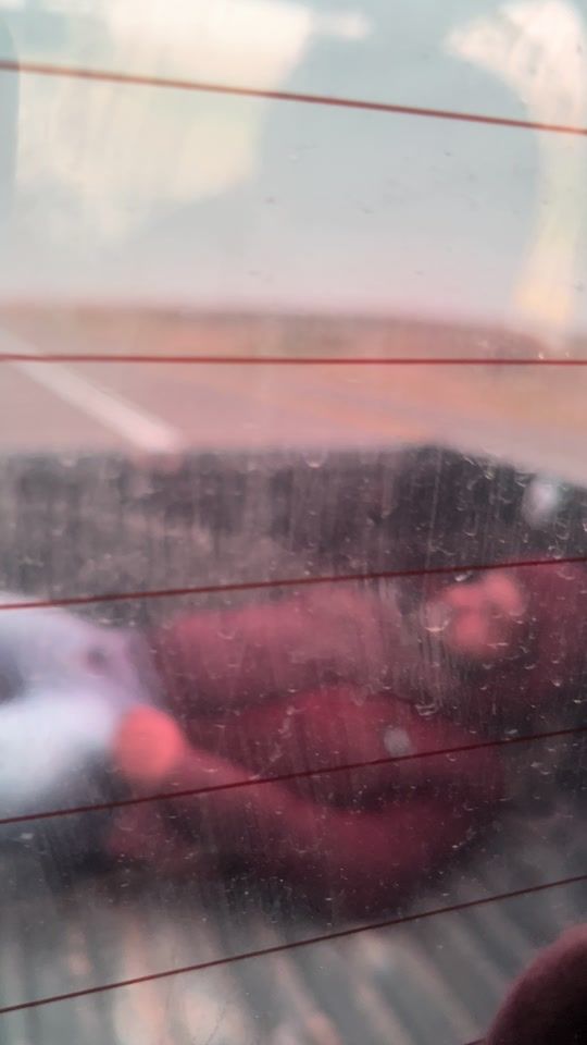 TikTok video thumbnail by mosa.v8