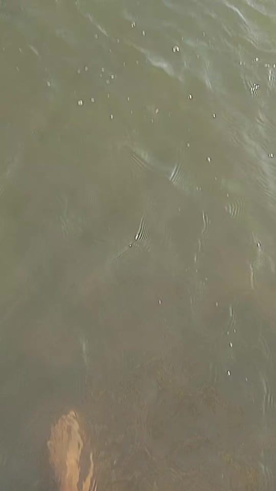 TikTok video thumbnail by rony_1g7