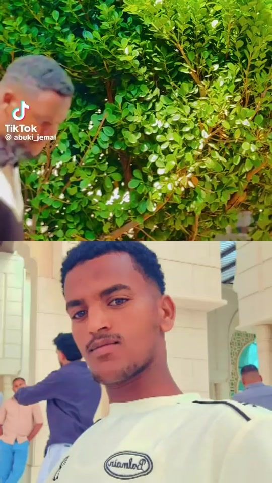 TikTok video thumbnail by mamesorge