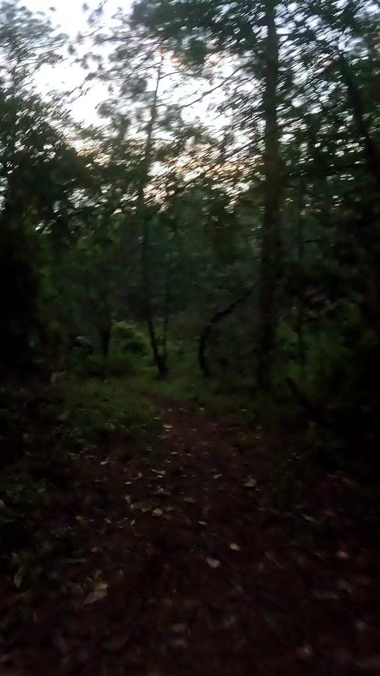 TikTok video thumbnail by tauro_garcia