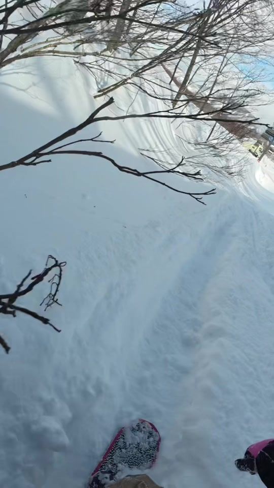 TikTok video thumbnail by zumipau