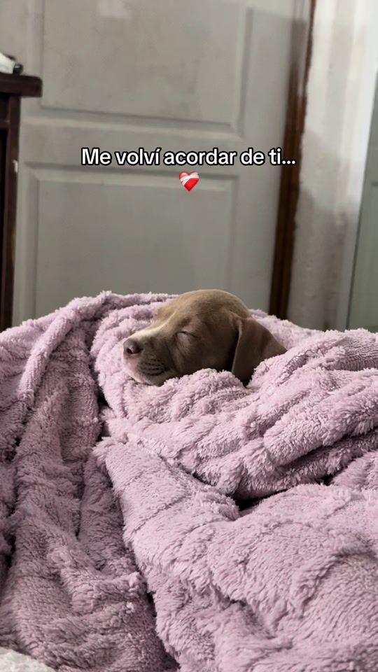TikTok video thumbnail by atoom_21