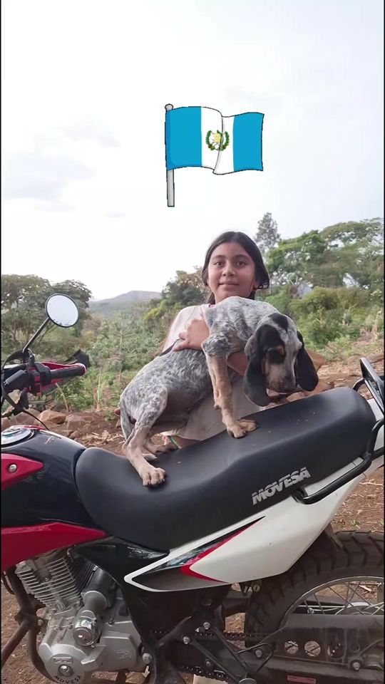 TikTok video thumbnail by chemis_100
