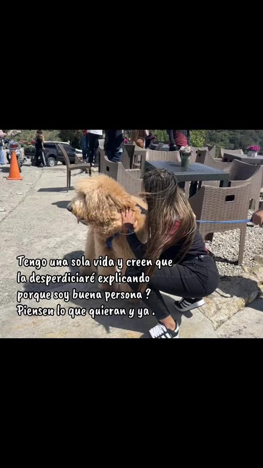 TikTok video thumbnail by danyalit1