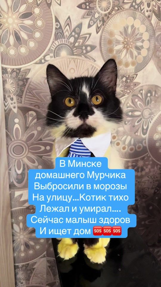 TikTok video thumbnail by maria_kovalchuk08