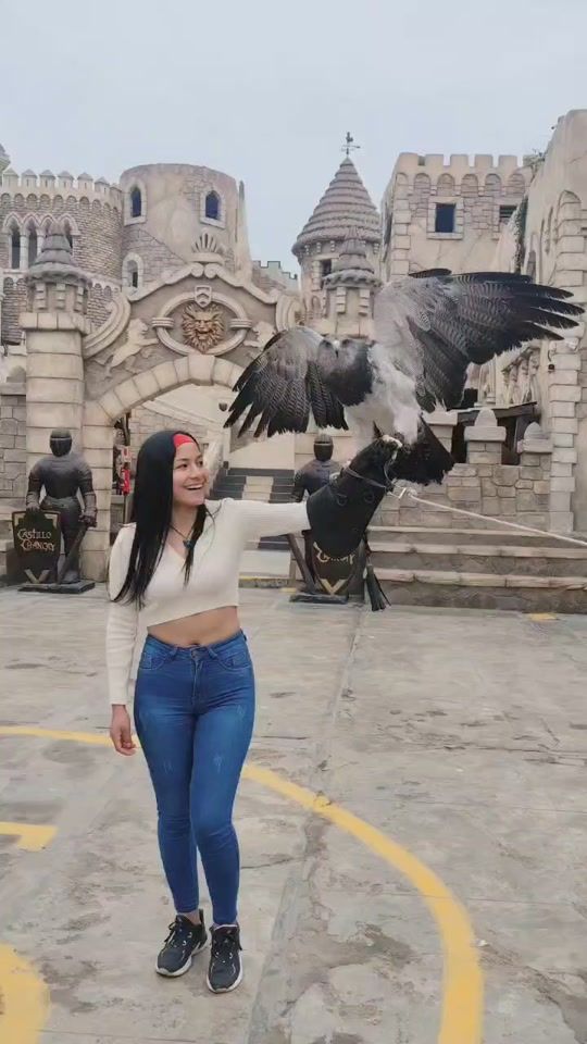 TikTok video thumbnail by nelidaanalycampos