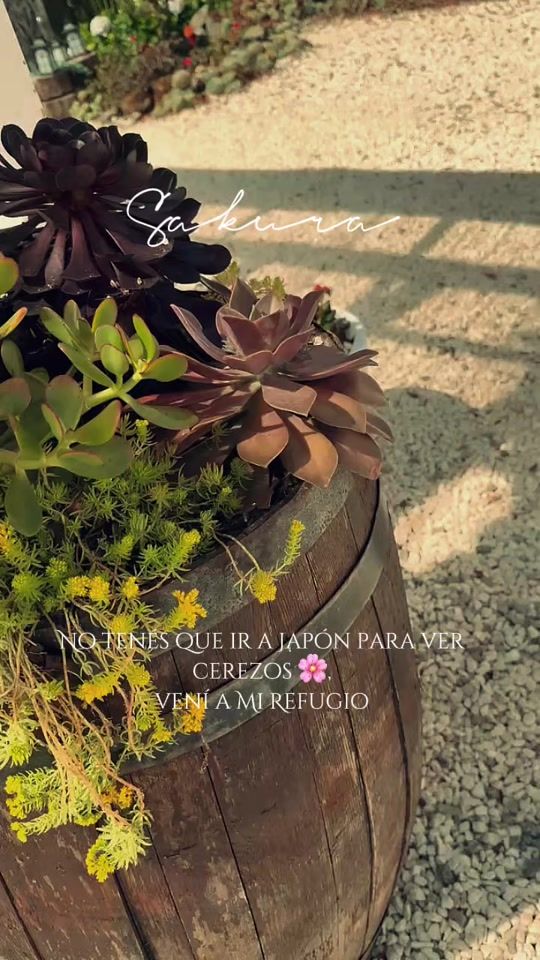 TikTok video thumbnail by tourmirefugio