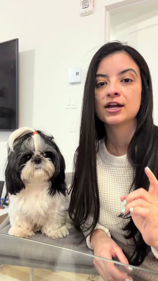 TikTok video thumbnail by falcmarina