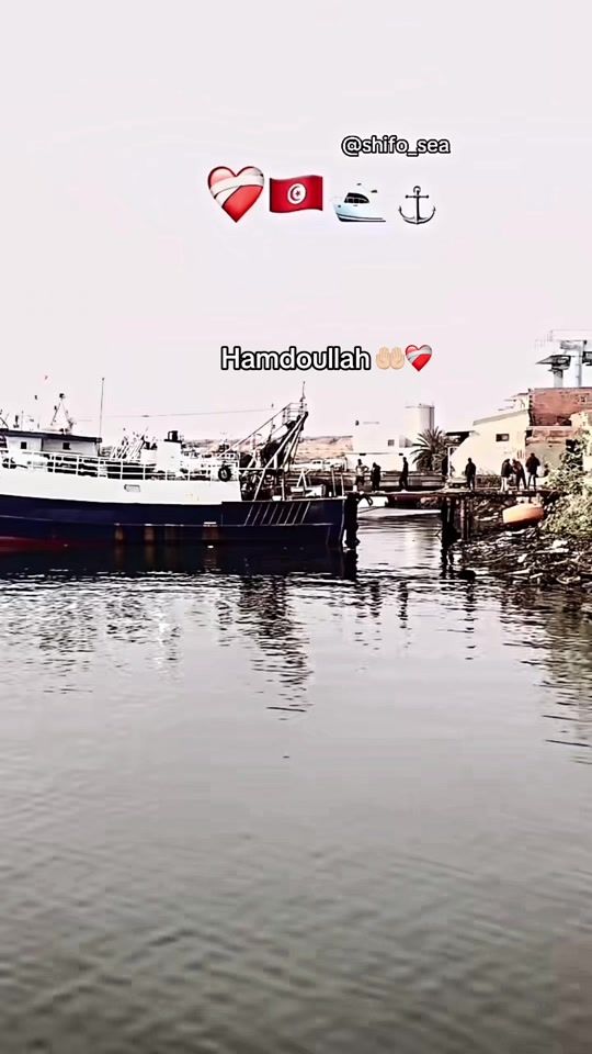 TikTok video thumbnail by shifo_c31