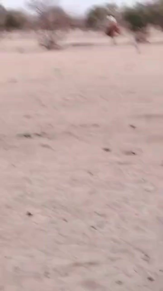 TikTok video thumbnail by korei.tchou