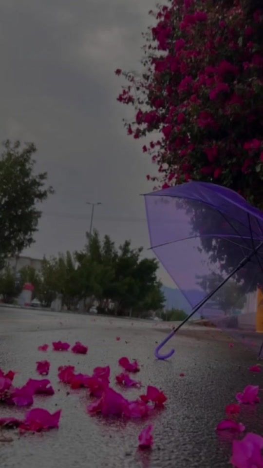 TikTok video thumbnail by hananalli355