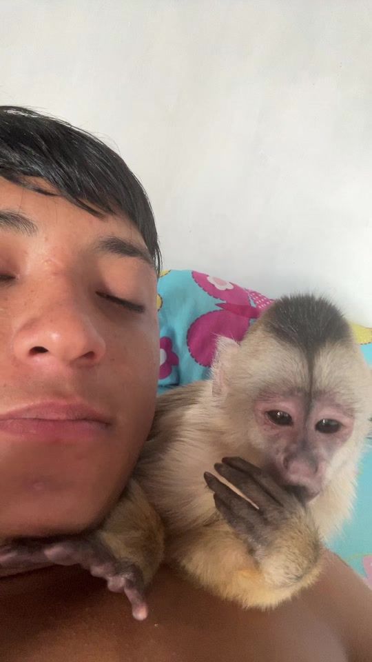 TikTok video thumbnail by user09728.6