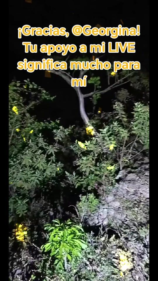 TikTok video thumbnail by tropicon83