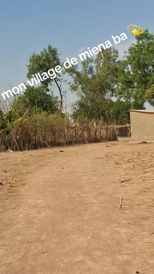 TikTok video thumbnail by abol013