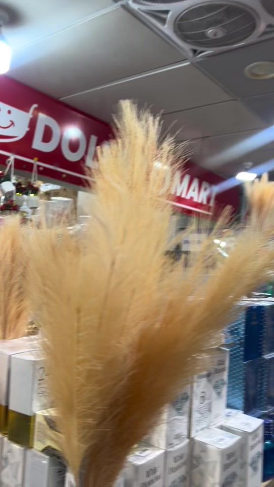 TikTok video thumbnail by aishavlogs1
