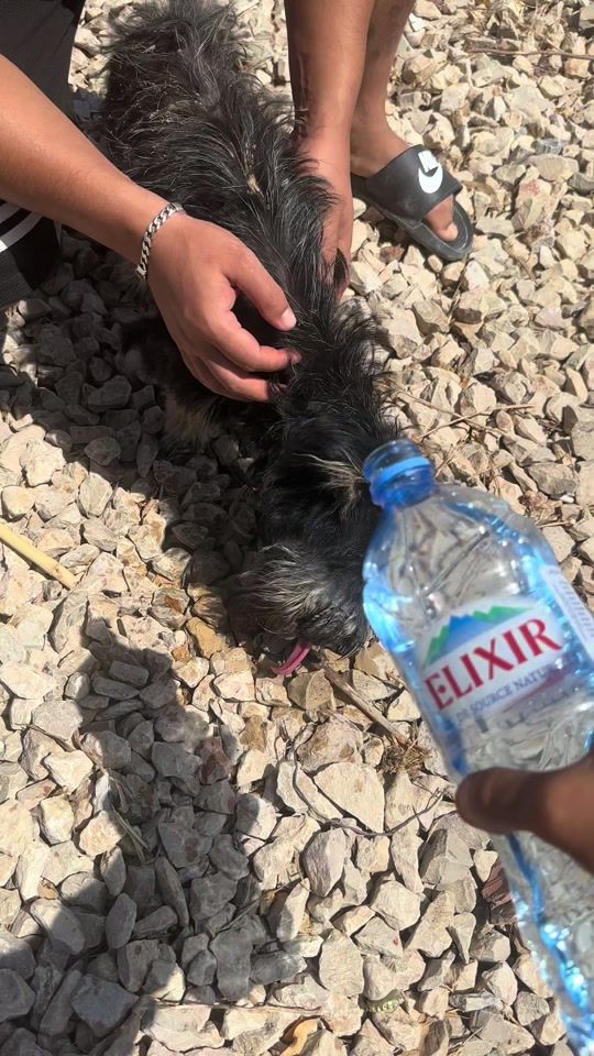 TikTok video thumbnail by anier___