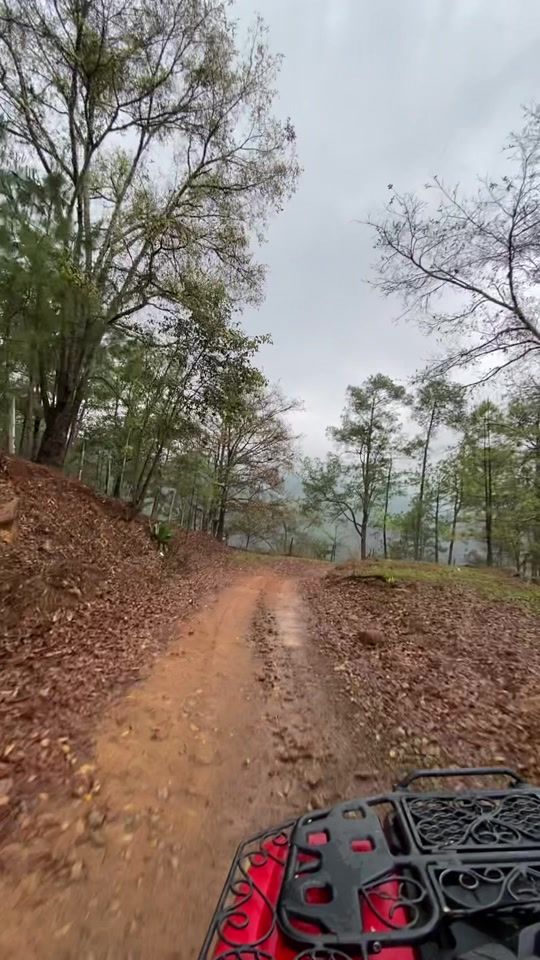 TikTok video thumbnail by _dmsol