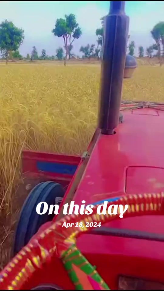 TikTok video thumbnail by joyia_naseer