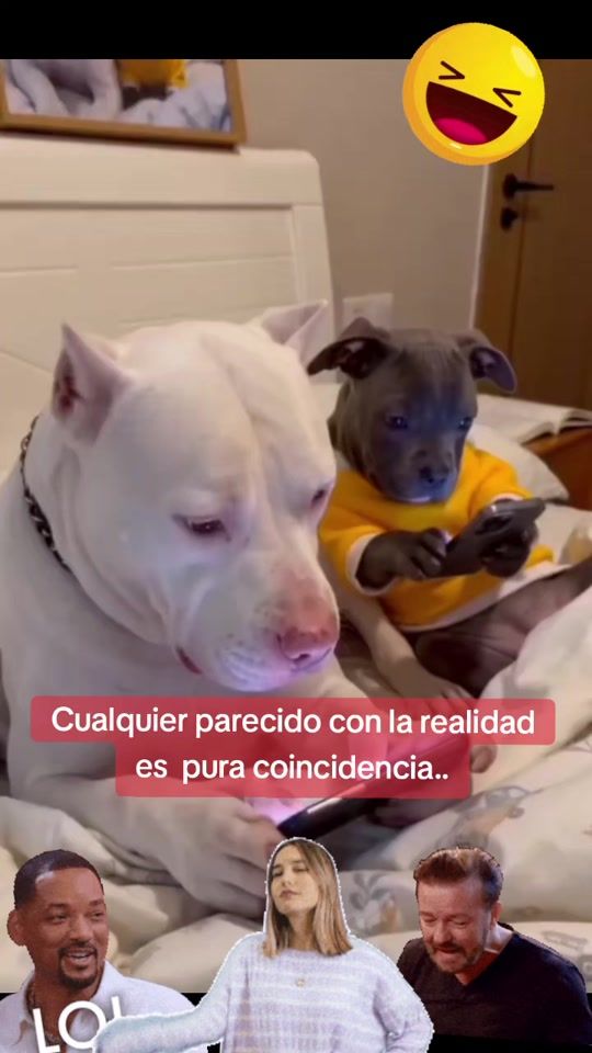 TikTok video thumbnail by mycheliz