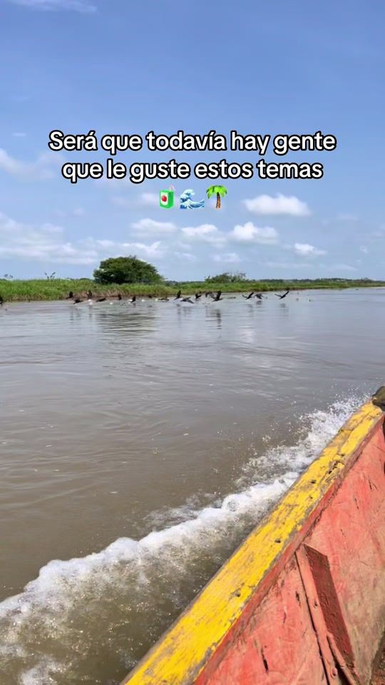 TikTok video thumbnail by pueblerino058
