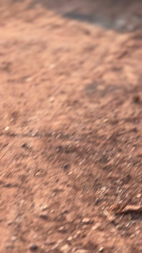 TikTok video thumbnail by beer.18y
