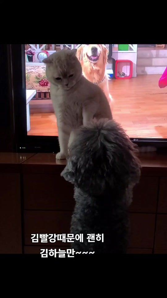 TikTok video thumbnail by nara.geum