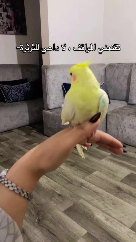 TikTok video thumbnail by x_fatima_x53