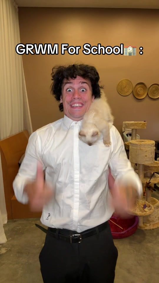 TikTok video thumbnail by lucassinthehouse