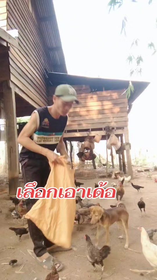 TikTok video thumbnail by useremkvx11lye