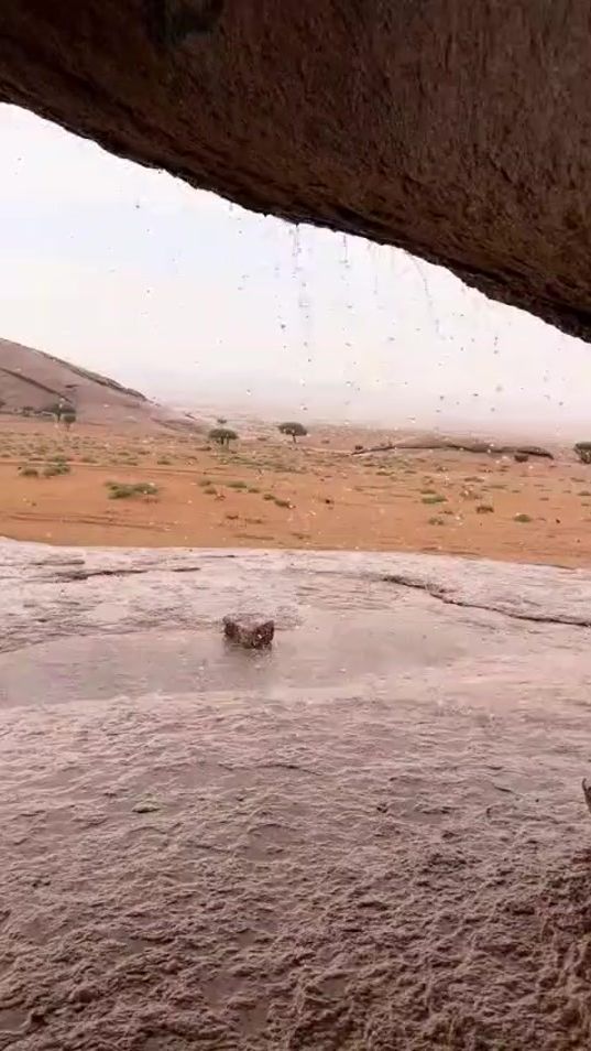 TikTok video thumbnail by mnt.salk