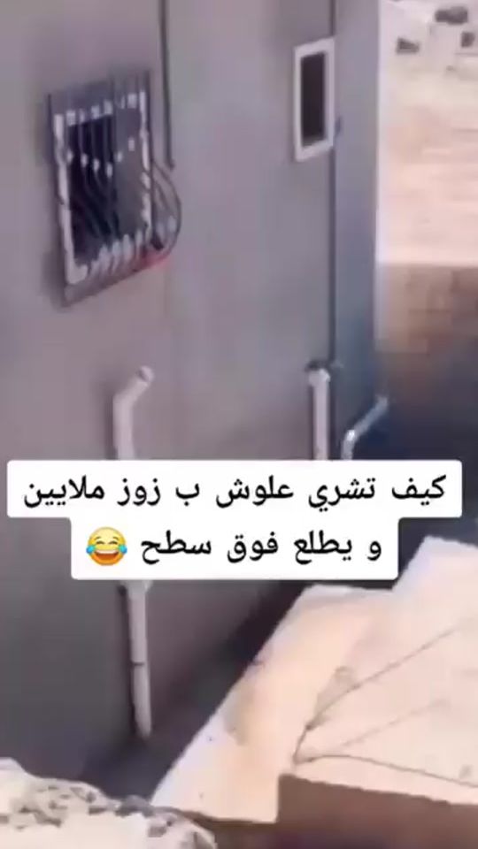 TikTok video thumbnail by kamelcherni528
