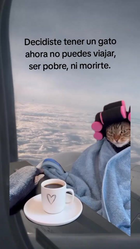 TikTok video thumbnail by amary.0