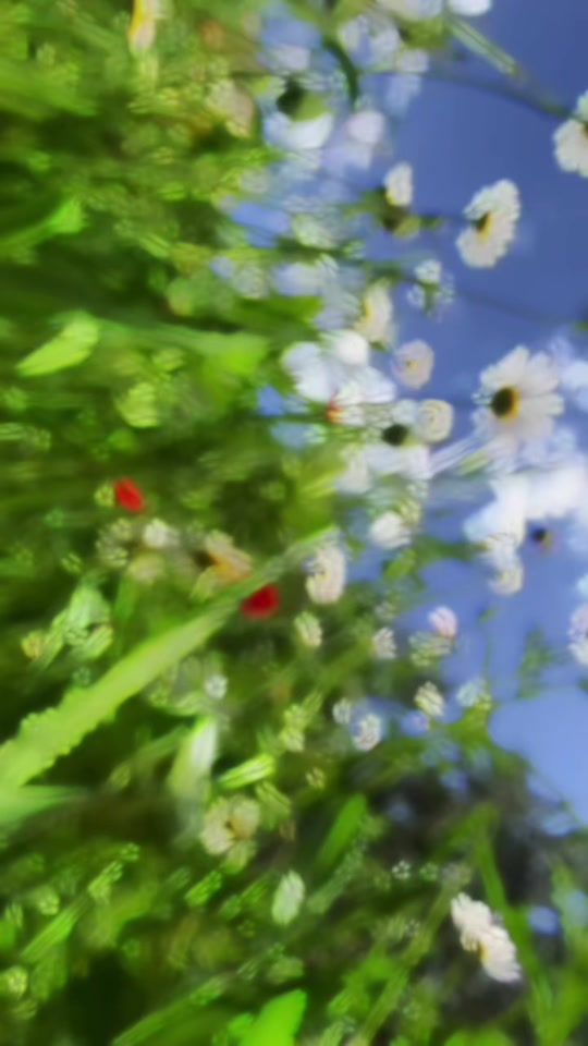 TikTok video thumbnail by eliff_08_