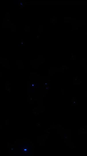 TikTok video thumbnail by bakajiro.edit