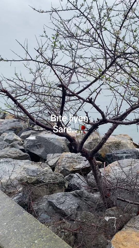 TikTok video thumbnail by axinn24