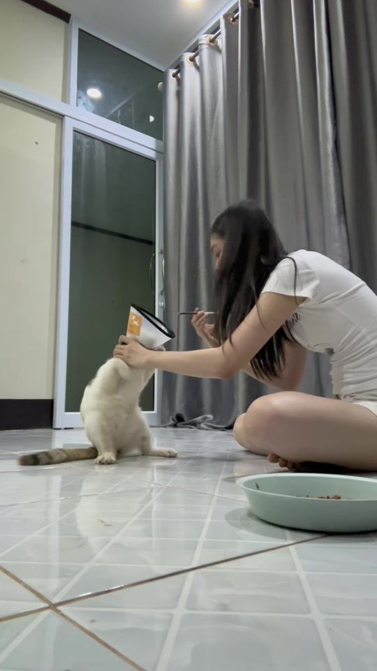 TikTok video thumbnail by mithouna77