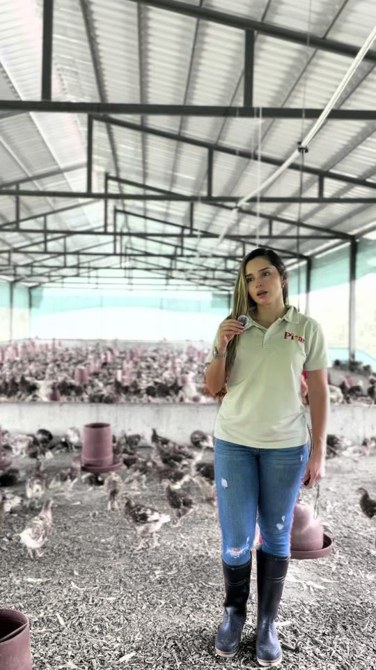 TikTok video thumbnail by avicola_picar