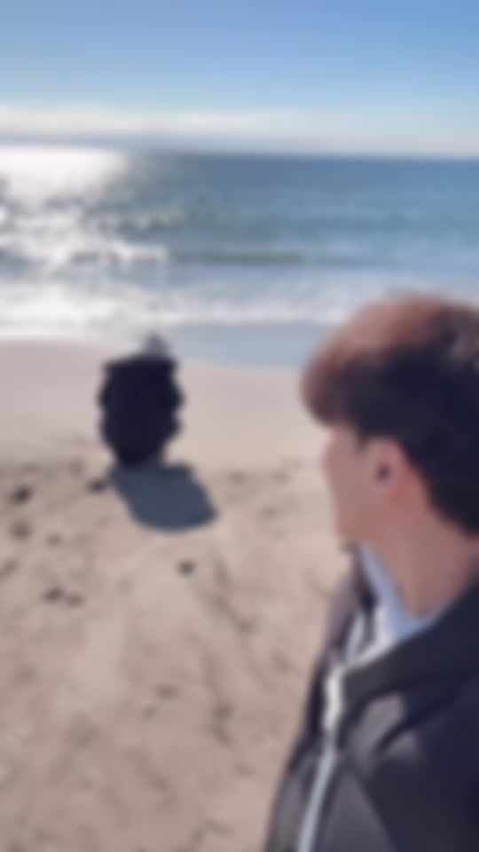 TikTok video thumbnail by tingen_156
