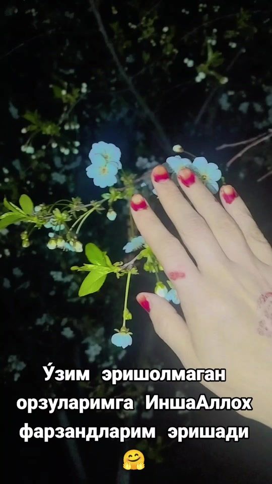 TikTok video thumbnail by robiya_12_