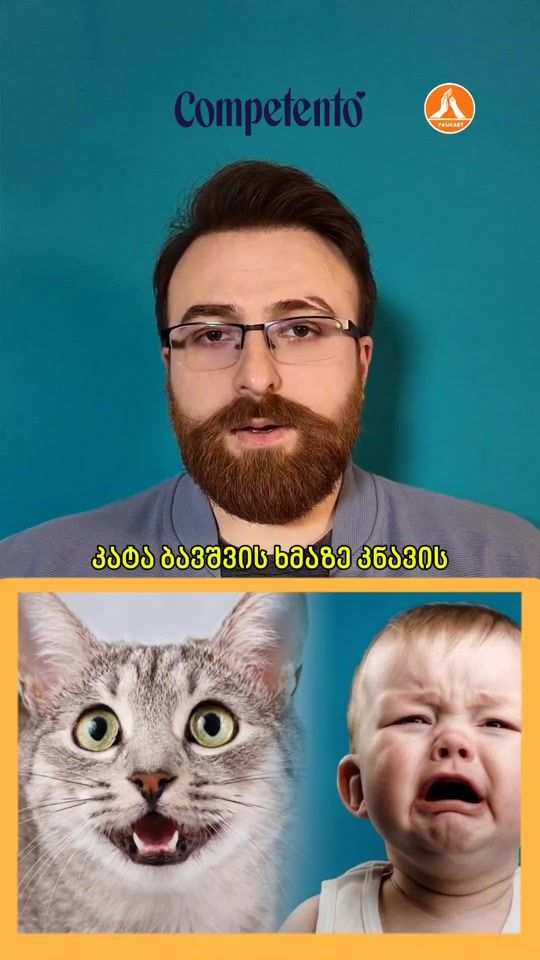 TikTok video thumbnail by pawcast_