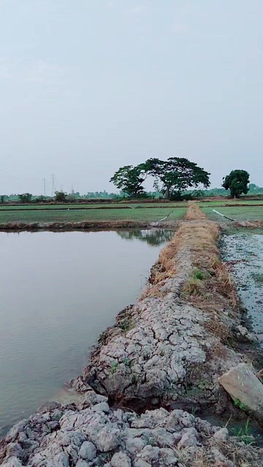 TikTok video thumbnail by pra_did29