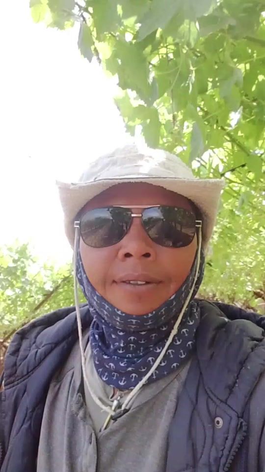 TikTok video thumbnail by permontree4