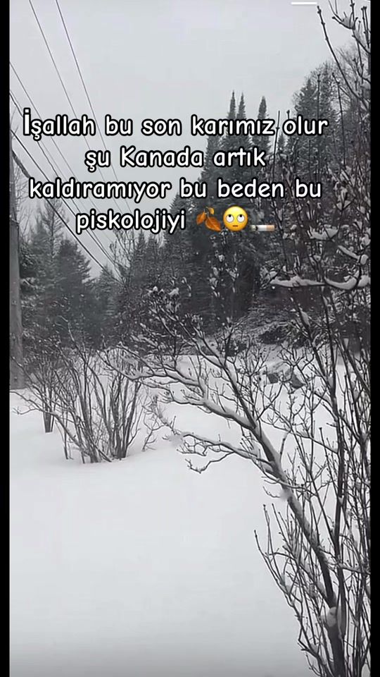 TikTok video thumbnail by d.e.m.e.t12