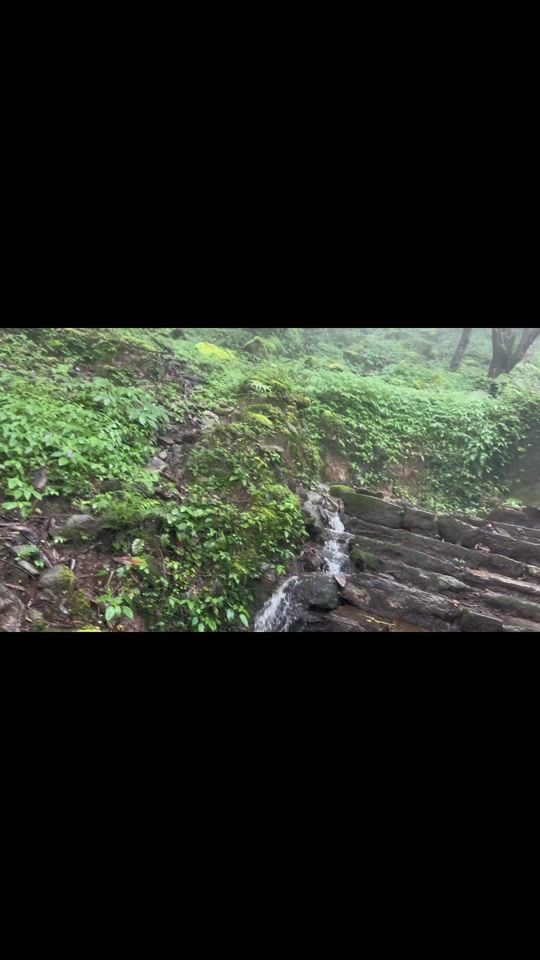 TikTok video thumbnail by noor_kh61