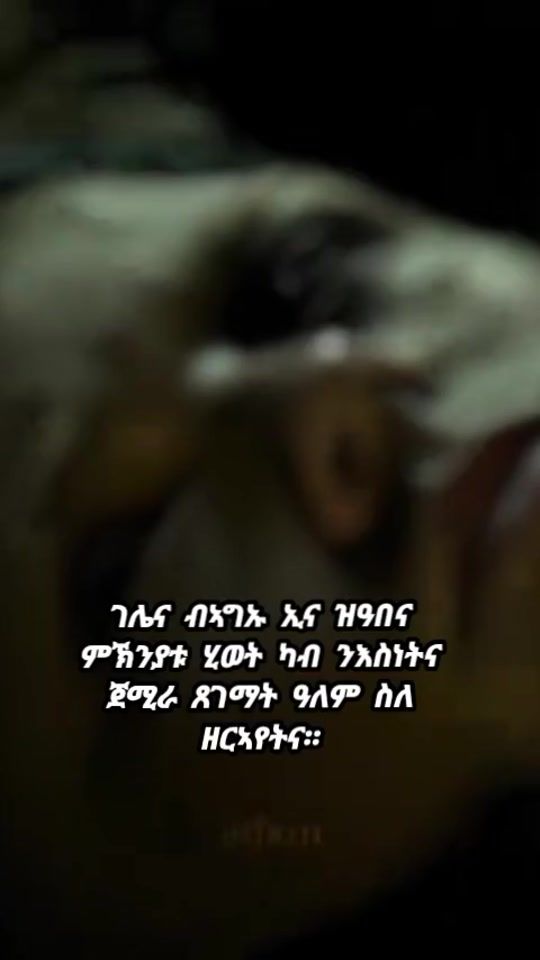 TikTok video thumbnail by vivanta69