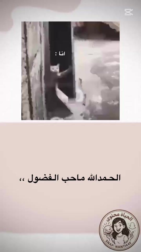 TikTok video thumbnail by nan14810