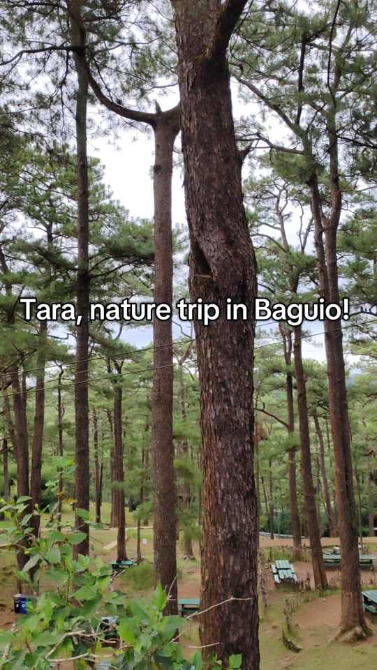 TikTok video thumbnail by lfbaguiotransient